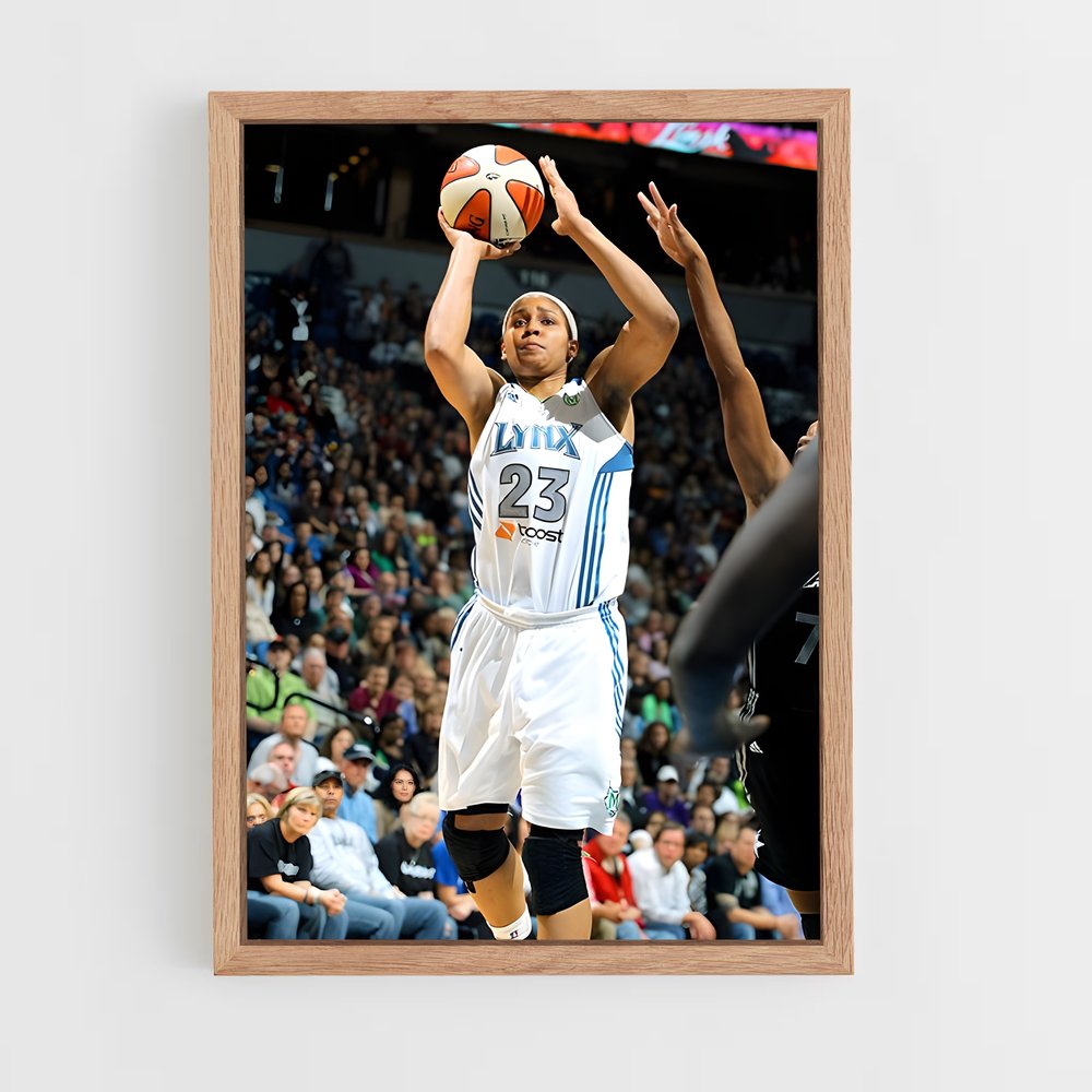 Poster Maya basketball (vue 4)
